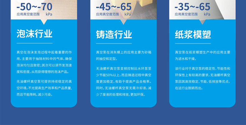 鲍斯GSV300-30无油螺杆真空泵